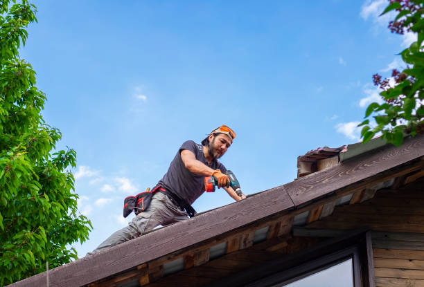 Best Roof Moss and Algae Removal  in Kissee Mills, MO